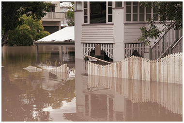Flood Damage Restoration Services